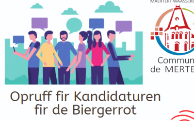 Appel à candidatures conseil des citoyens