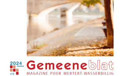 Gemeeneblat 06 2024