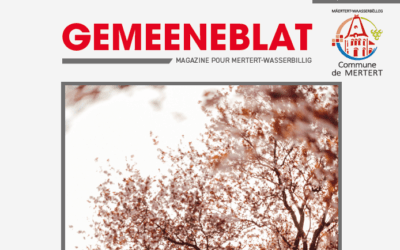 Gemeeneblat 02 2025