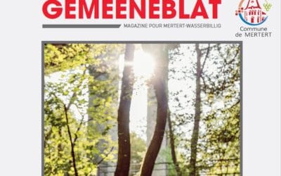 Gemeeneblat 03 2025