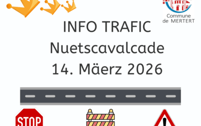 Info Nuetscavalcade 14.03.2026