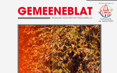 Gemeeneblat 05 2026